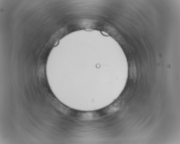 X0000077370473200611171953