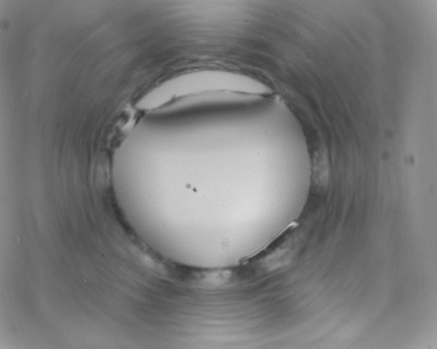 X0000077370474200611171953