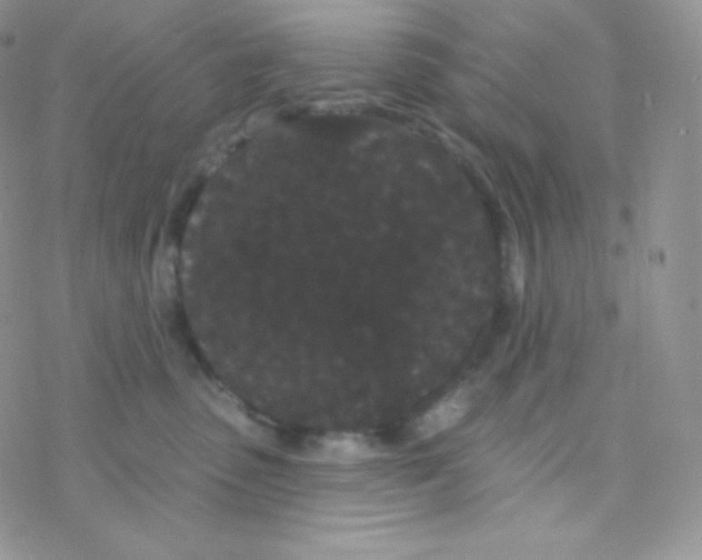 X0000077370475200611171953