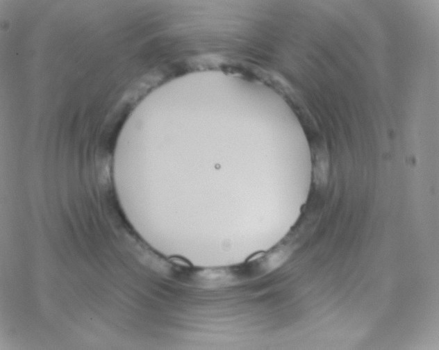 X0000077370477200611171953