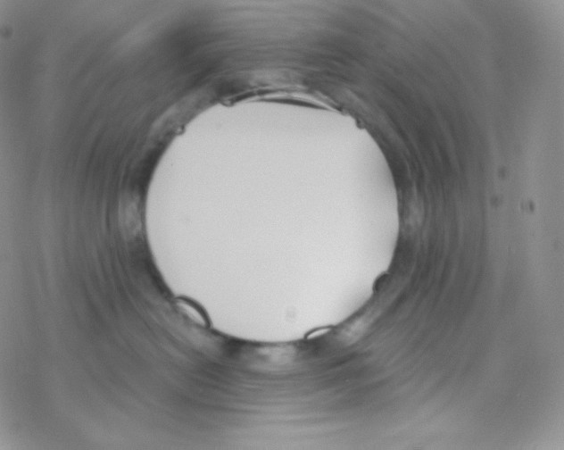 X0000077370478200611171953