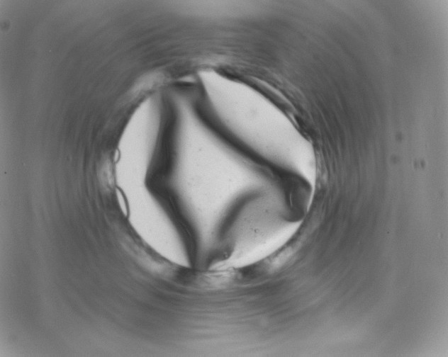 X0000077370479200611171953