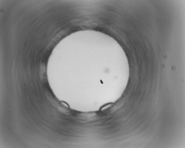 X0000077370480200611171953