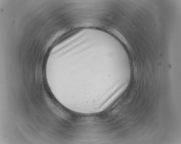 X0000077370482200611171953