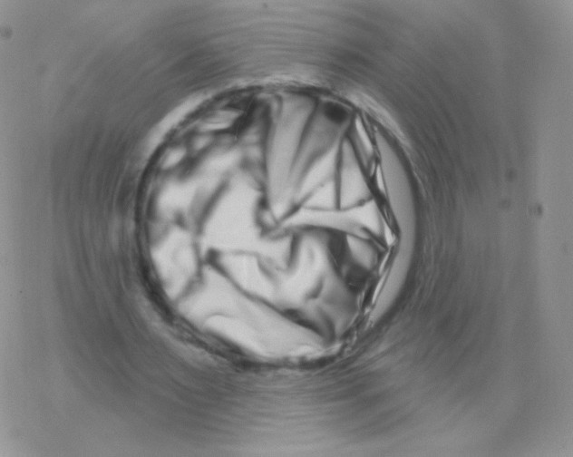 X0000077370483200611171953