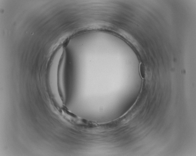 X0000077370485200611171953