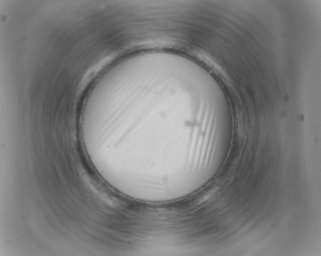 X0000077370486200611171953