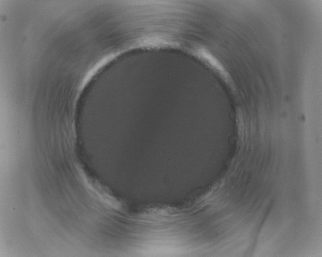 X0000077370488200611171953