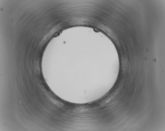 X0000077370489200611171953