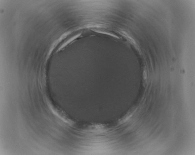 X0000077370492200611171952