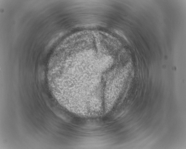 X0000077370495200611171952