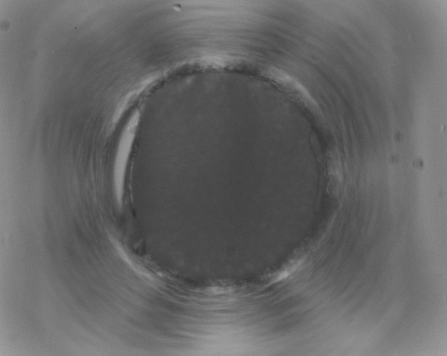 X0000077370496200611171952