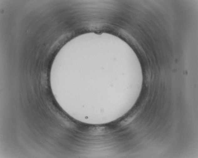 X0000077370497200611171952