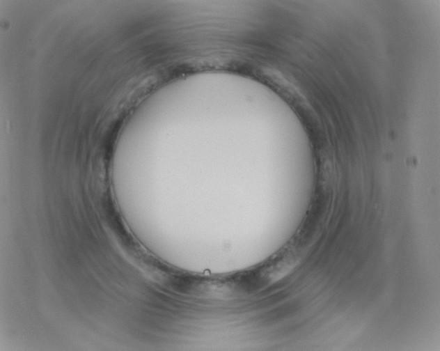 X0000077370498200611171952