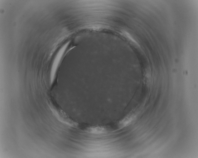 X0000077370500200611171952