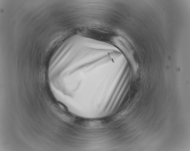 X0000077370501200611171952