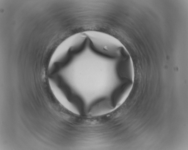 X0000077370502200611171952