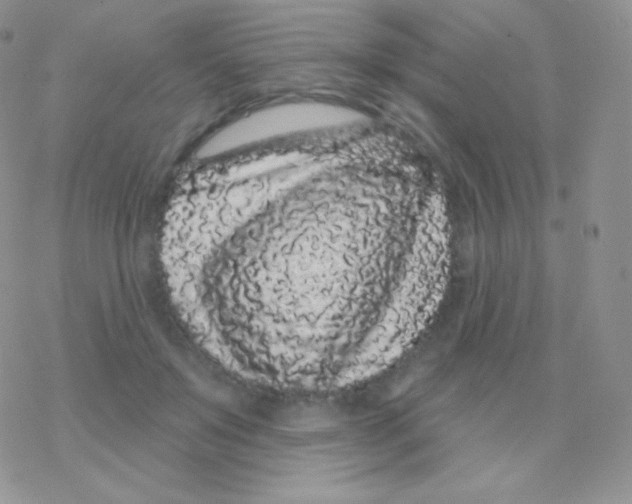 X0000077370503200611171952