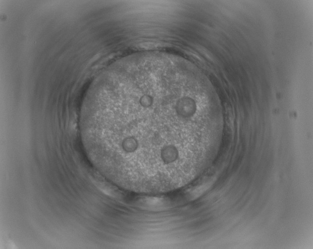 X0000077370507200611171952