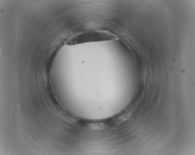 X0000077370508200611171952