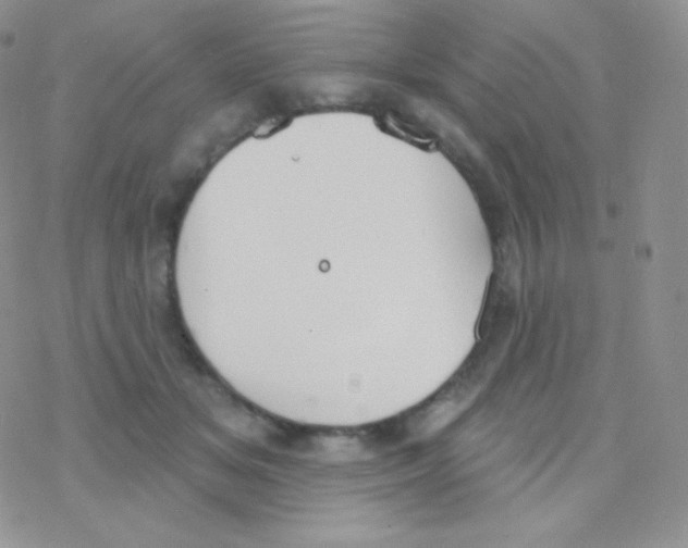 X0000077370509200611171952