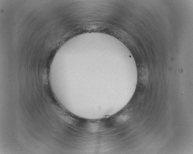 X0000077370510200611171952