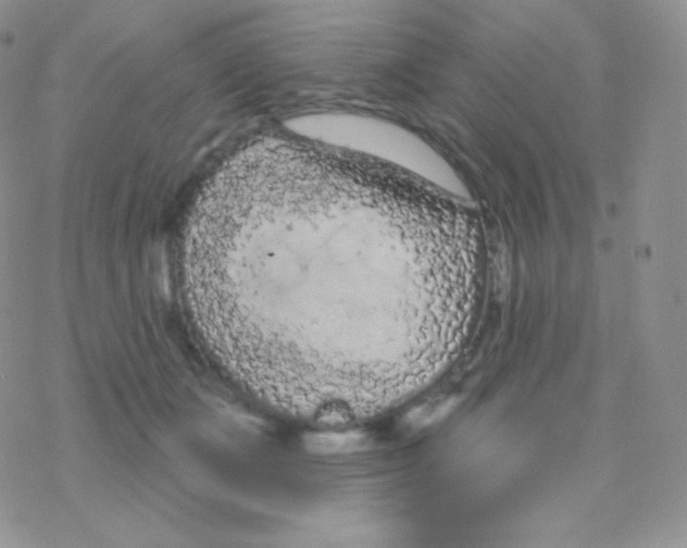 X0000077370511200611171952