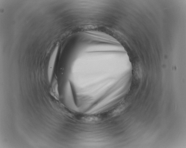 X0000077370512200611171952