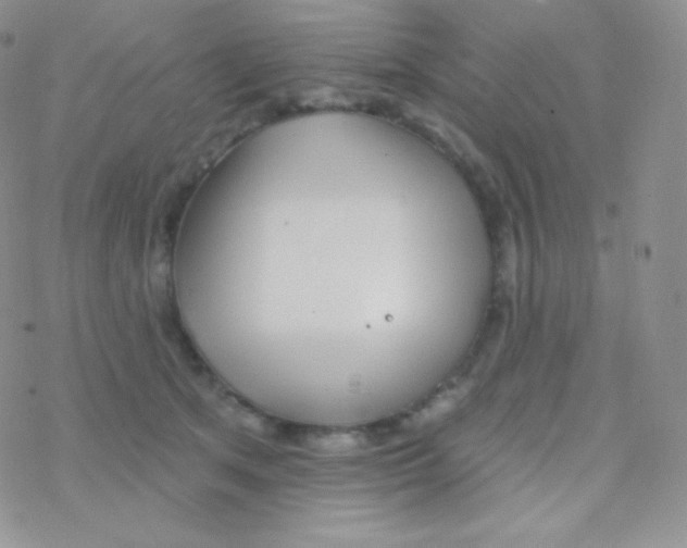 X0000077370513200611171952