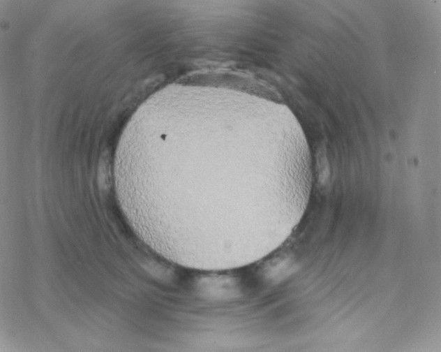 X0000077370515200611171952