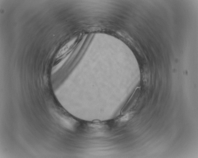 X0000077370516200611171952