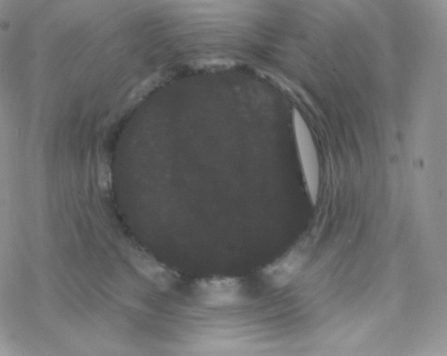 X0000077370517200611171952