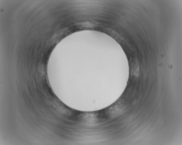 X0000077370518200611171952