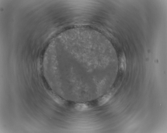 X0000077370519200611171952