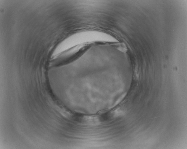 X0000077370520200611171952