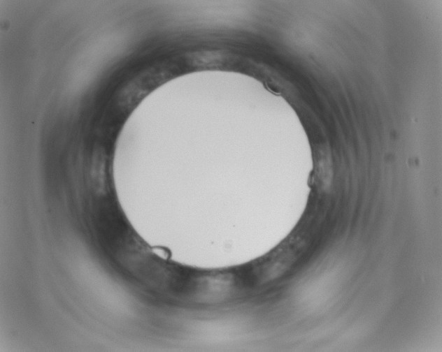 X0000077370525200611171952