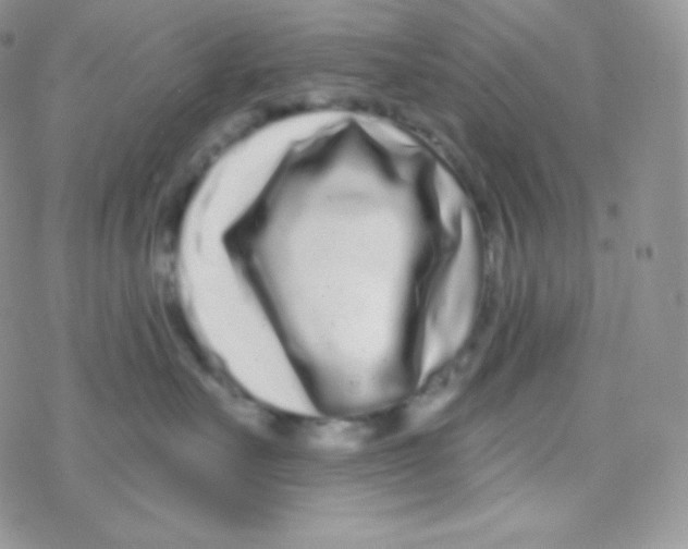 X0000077370527200611171952