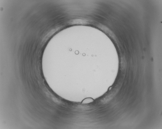 X0000077370529200611171951