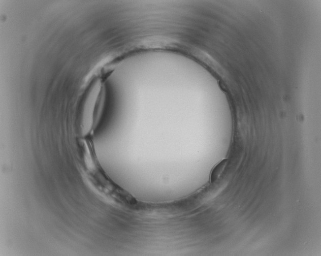 X0000077370530200611171951