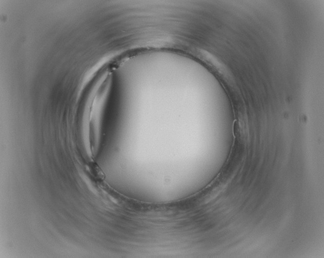 X0000077370532200611171951