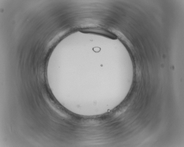 X0000077370533200611171951