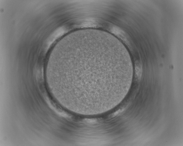 X0000077370534200611171951