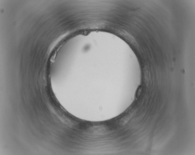 X0000077370536200611171951