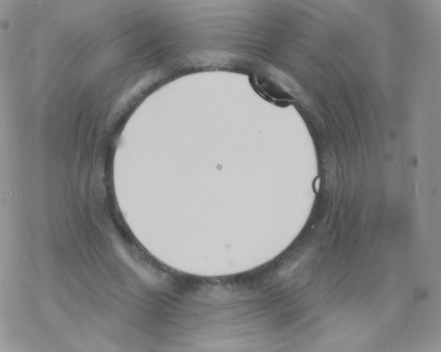 X0000077370538200611171951