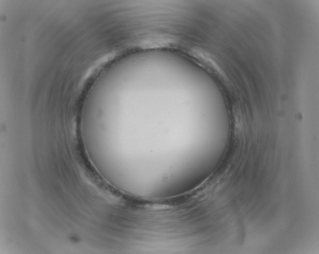 X0000077370539200611171951