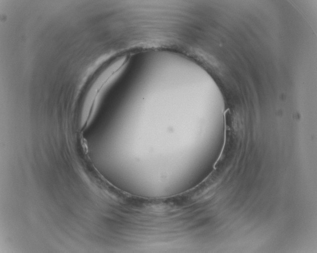 X0000077370540200611171951