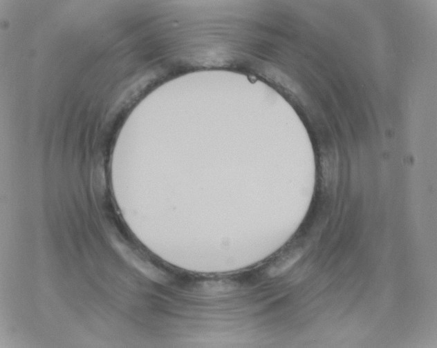 X0000077370541200611171951