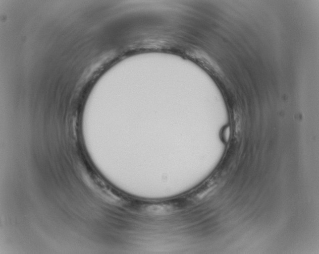 X0000077370542200611171951