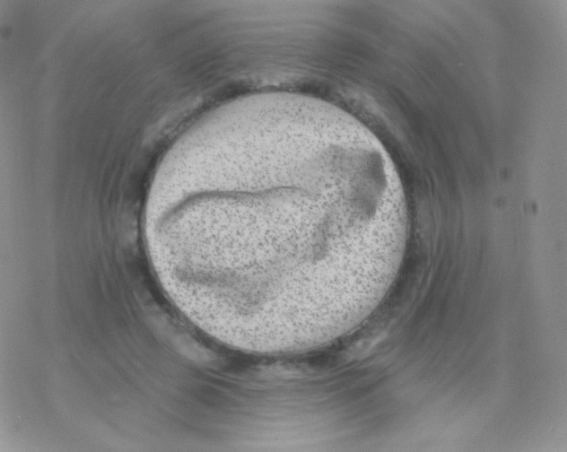 X0000077370545200611171951