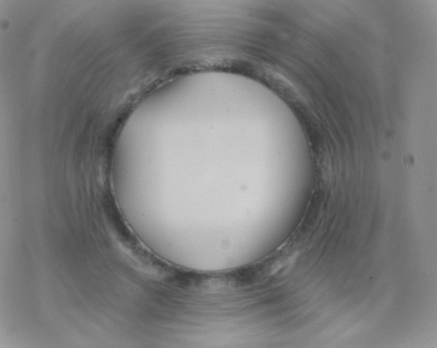 X0000077370546200611171951